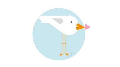 Möve, Vogel, Geschenk, Herz, Vektorillustration, Gruss, animal, Augen, Schenken, Charakter, Figur, Kleber, Humor, Pastellfarben