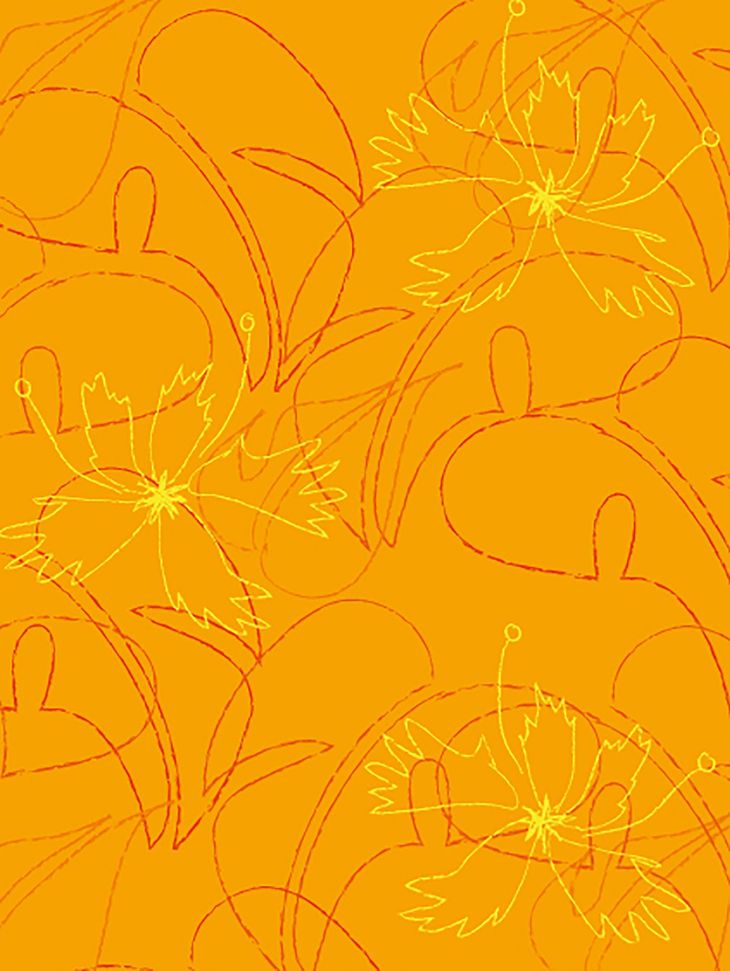 Papeterie, Porzelan, Muster, Ornament, Blumenmuster, Orange, Dekore, Illustration