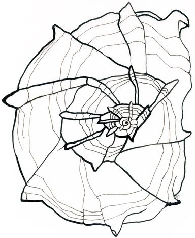 Ausmalen, Illustration, Tuschezeichnung, Federkiel, Muschel, Meer, Schneckengehäuse, rund, Handzeichnung, analog