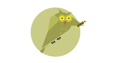 Tier, Uhu, Vogel, Geschenk, Vektorillustration, Gruss, animal, Augen, Schenken, Charakter, Figur, Kleber, Humor