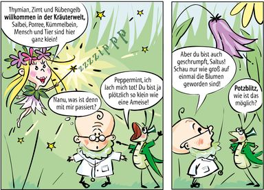 Fee, Verzaubern, Verwandeln, Natur, Blumen, Arzt, Doktor, Naturheilkunde, Grille, Grashüpfer, Comic, Kinder, Pharma