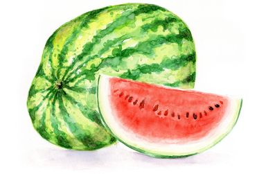 Illustration, Aquarell, Melone, Obst, Frucht, exotisch, tropisch, Food