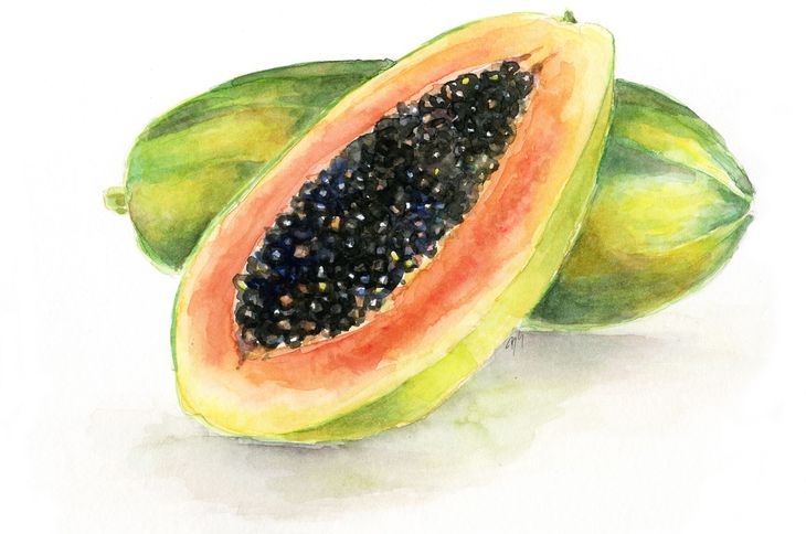 Illustration, Aquarell, Mango, Obst, Frucht, exotisch, tropisch, Food