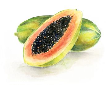 Illustration, Aquarell, Mango, Obst, Frucht, exotisch, tropisch, Food