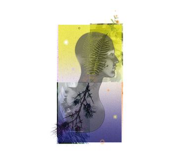Flow, Funktionalität,  Kopf, Psychologie, Illustration, Blumen, Wachstum, Gesicht, Wandel, Gegensatz, digital art, editorial, Winter, Sommer, Natur, Profil, Psyche, Symbolismus